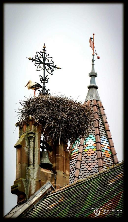 Gite Edelweiss A เอกิสไฮม์ ภายนอก รูปภาพ