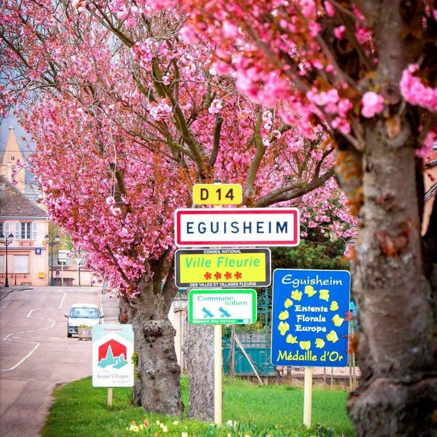 Gite Edelweiss A เอกิสไฮม์ ภายนอก รูปภาพ